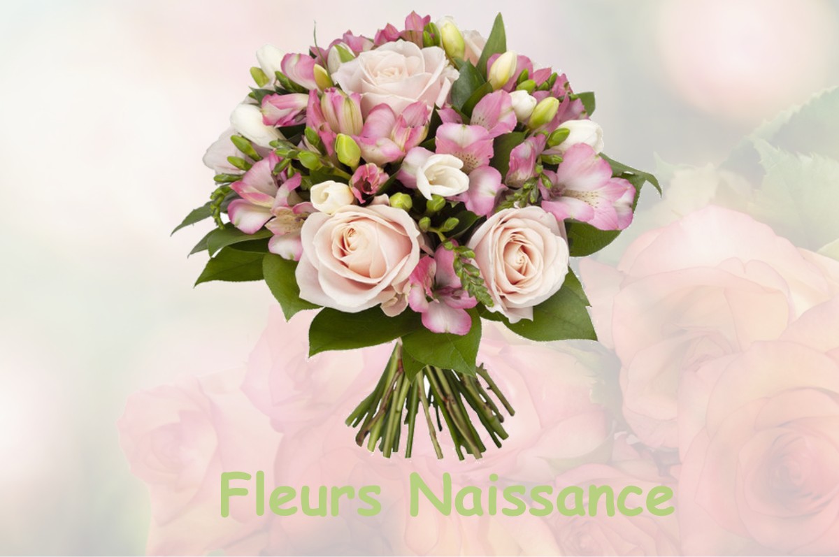 fleurs naissance BOUILLY-EN-GATINAIS