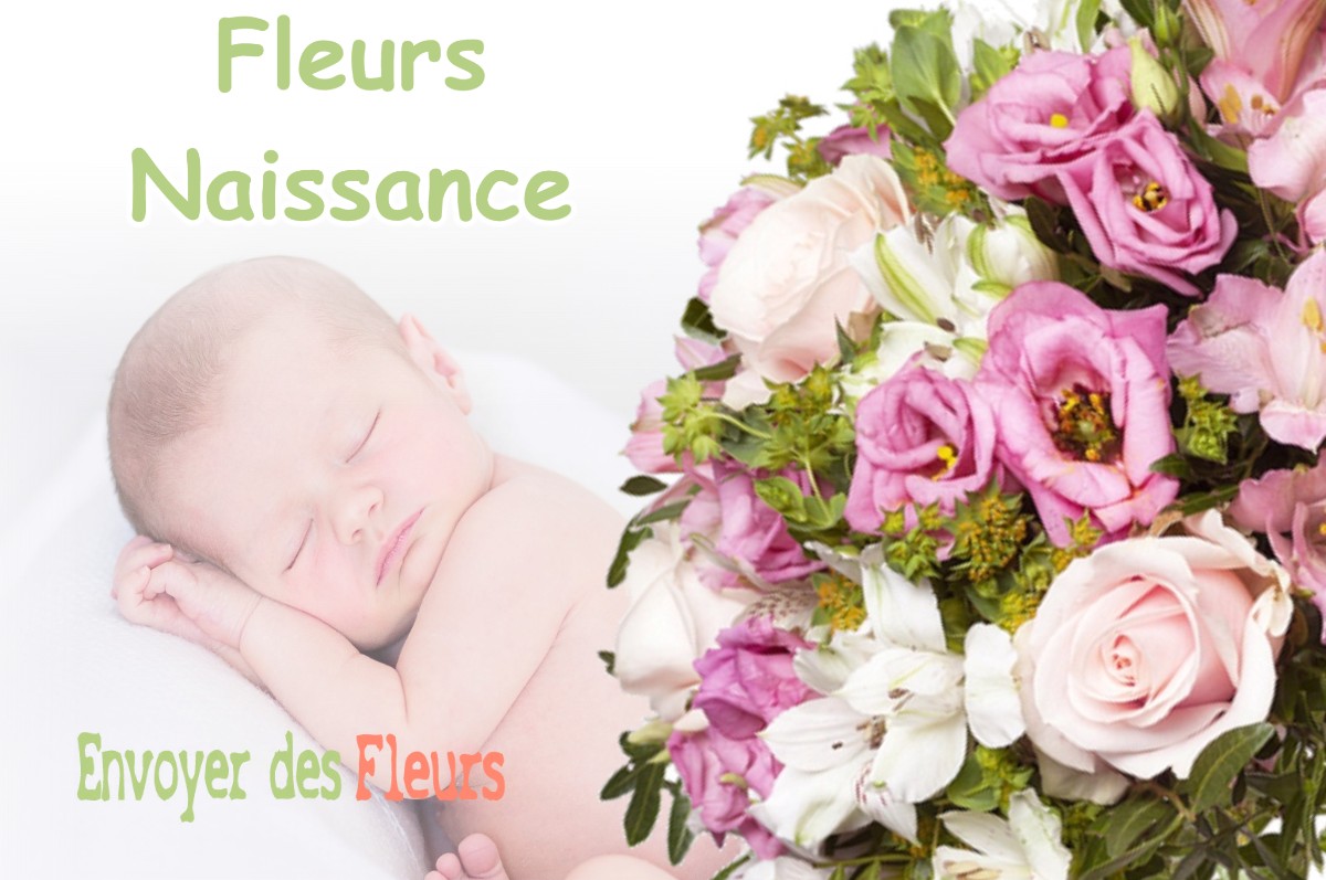 lIVRAISON FLEURS NAISSANCE à BOUILLY-EN-GATINAIS